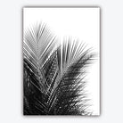 Set of 5 Gallery Wall Art Prints ORIGINAL Pink & Black ABSTRACT Botanical Palm Tree Wall Floral Pictures Posters Artwork
