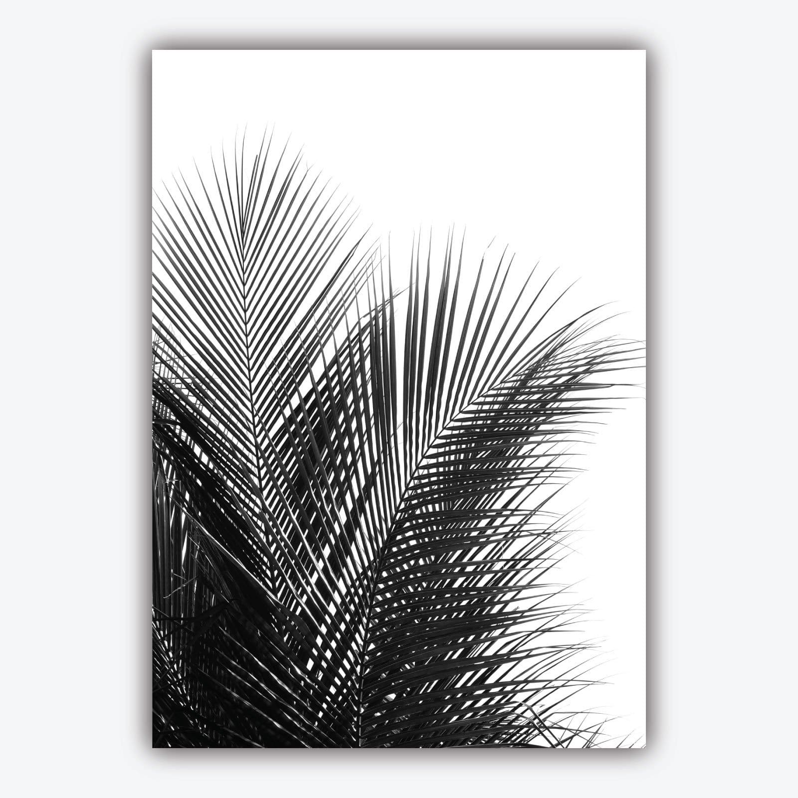Set of 5 Gallery Wall Art Prints ORIGINAL Pink & Black ABSTRACT Botanical Palm Tree Wall Floral Pictures Posters Artwork