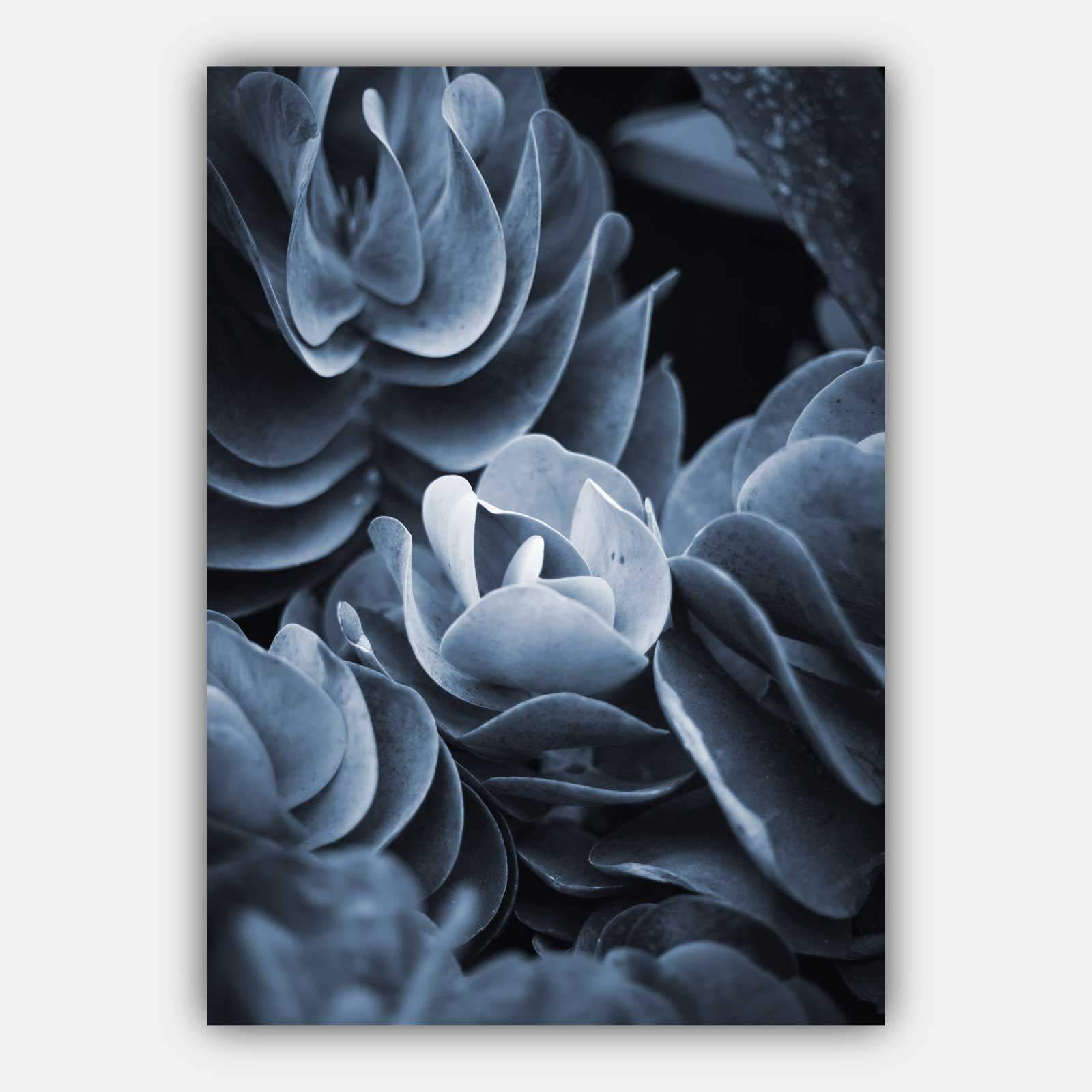 Set of 5 Gallery Navy & Blush Pink Wall Art Prints ORIGINAL ABSTRACT Botanical Palm Tree Wall Floral Pictures Posters Artwork