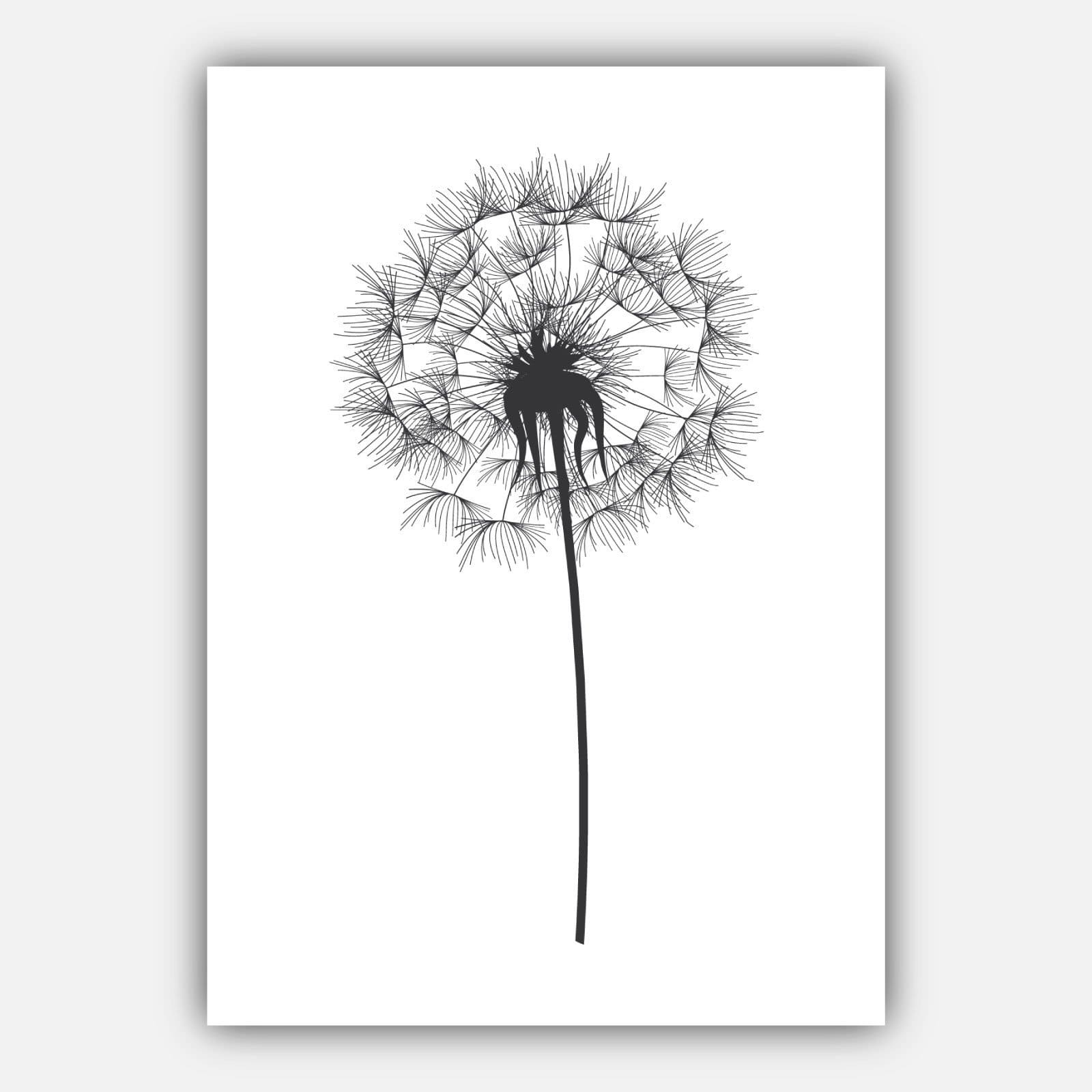 DANDELIONS Set of 3 Gallery Wall Sketch Art Prints