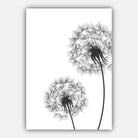 DANDELIONS Set of 3 Gallery Wall Sketch Art Prints