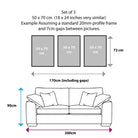 PEONIES Set of 3 Gallery Wall Art Prints Peony Flower Sketch