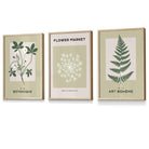 Vintage Graphical Sage Green Botanical Flower Market FRAMED Wall Art Prints / Posters