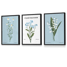 Set of 3 Vintage Graphical Blue Spring Wild Flower Market FRAMED Wall Art Prints / Posters | Artze Wall Art UK