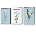 Set of 3 Vintage Graphical Blue Spring Wild Flower Market FRAMED Wall Art Prints / Posters | Artze Wall Art UK