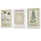 Vintage Graphical Sage Green Botanical Flower Market FRAMED Wall Art Prints / Posters