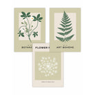 Vintage Graphical Sage Green Botanical Flower Market FRAMED Wall Art Prints / Posters