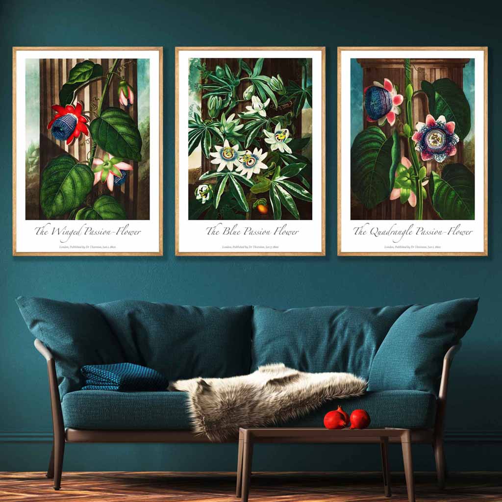 Vintage Passion Flowers Floral Set of 3 Wall Art Prints