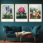 Vintage Cottage Garden Flowers Botanical Set of 3 Wall Art Prints