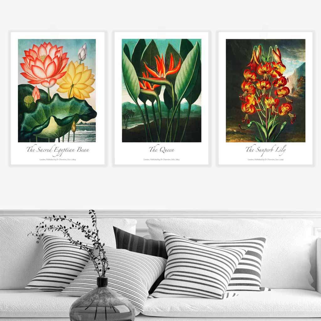 Vintage Tropical Flowers Botanical Set of 3 Wall Art Prints