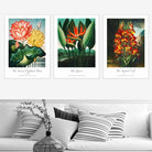 Vintage Tropical Flowers Botanical Set of 3 Wall Art Prints