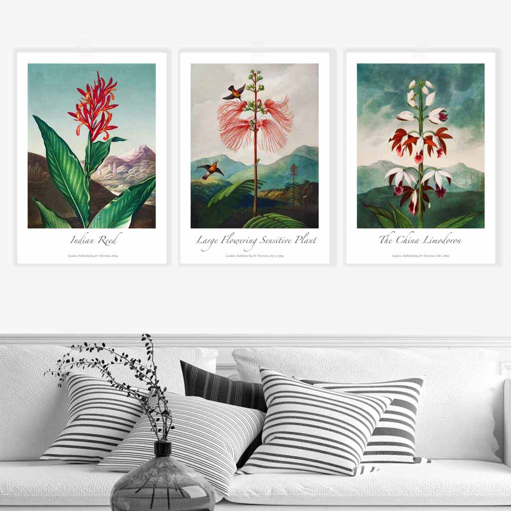 Vintage Exotic Eastern Floral Set of 3 Wall Art Prints