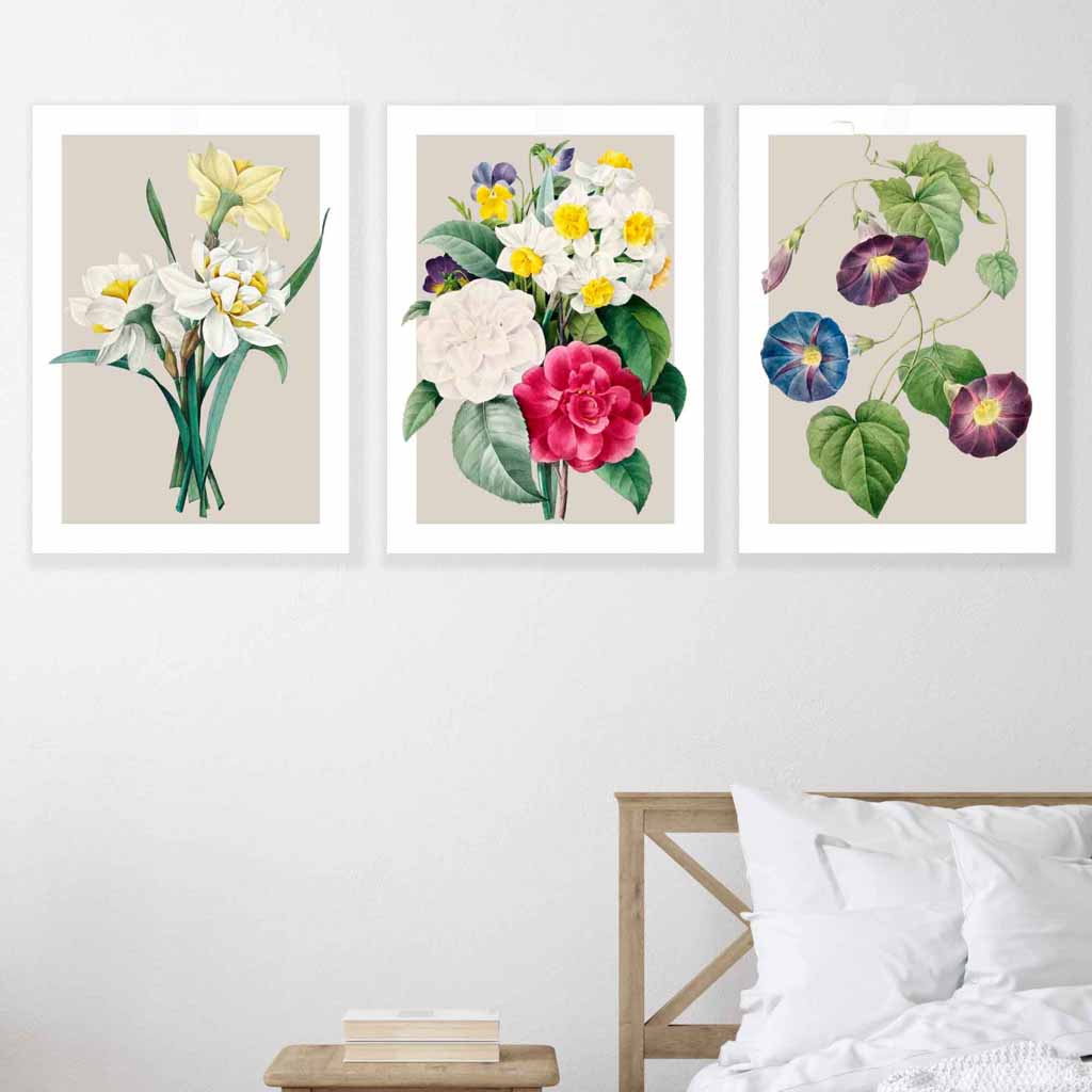 Vintage Spring Flowers Daffodil Set of 3 Wall Art Prints