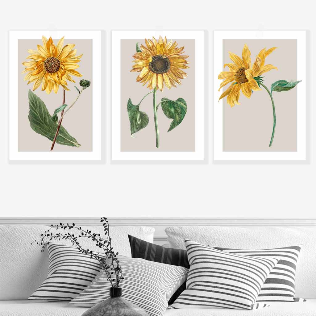 Vintage Sunflowers Set of 3 Wall Art Prints