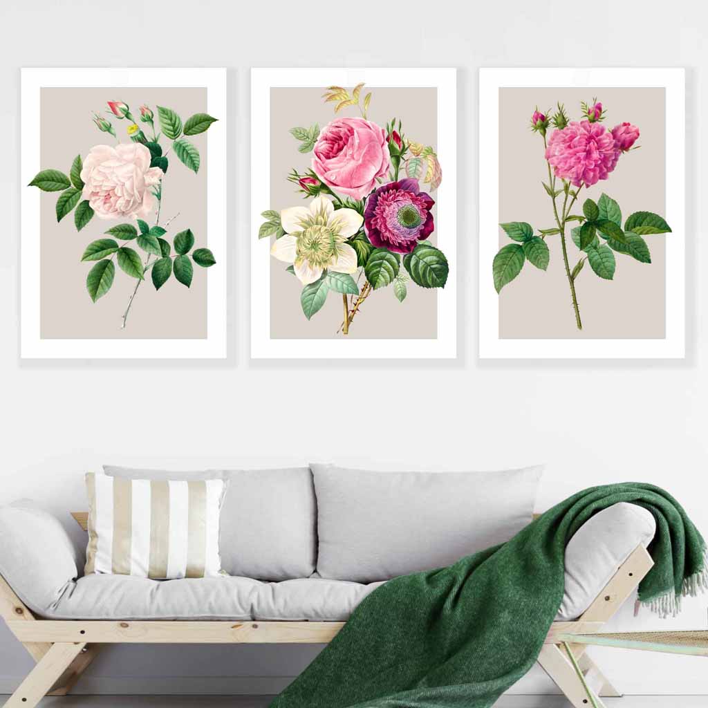 Vintage Pink and White Roses Set of 3 Wall Art Prints