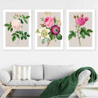 Vintage Pink and White Roses Set of 3 Wall Art Prints