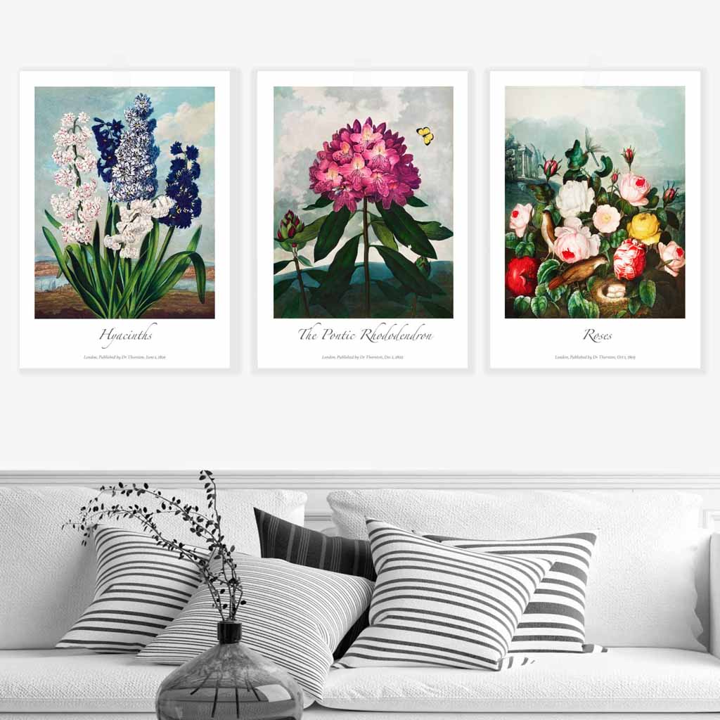 Vintage Cottage Garden Flowers Botanical Set of 3 Wall Art Prints
