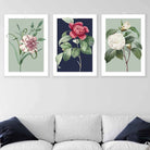 Vintage Flowers Camellia Blue and Green Set of 3 Wall Art Prints