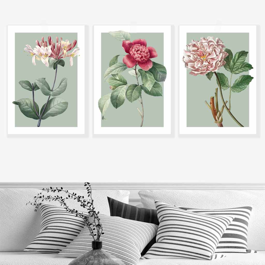 Vintage Flowers Honeysuckle, Peony Set of 3 Wall Art Prints