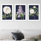 Vintage Flowers Lilac, Peony and Camellia Set of 3 Wall Art Prints