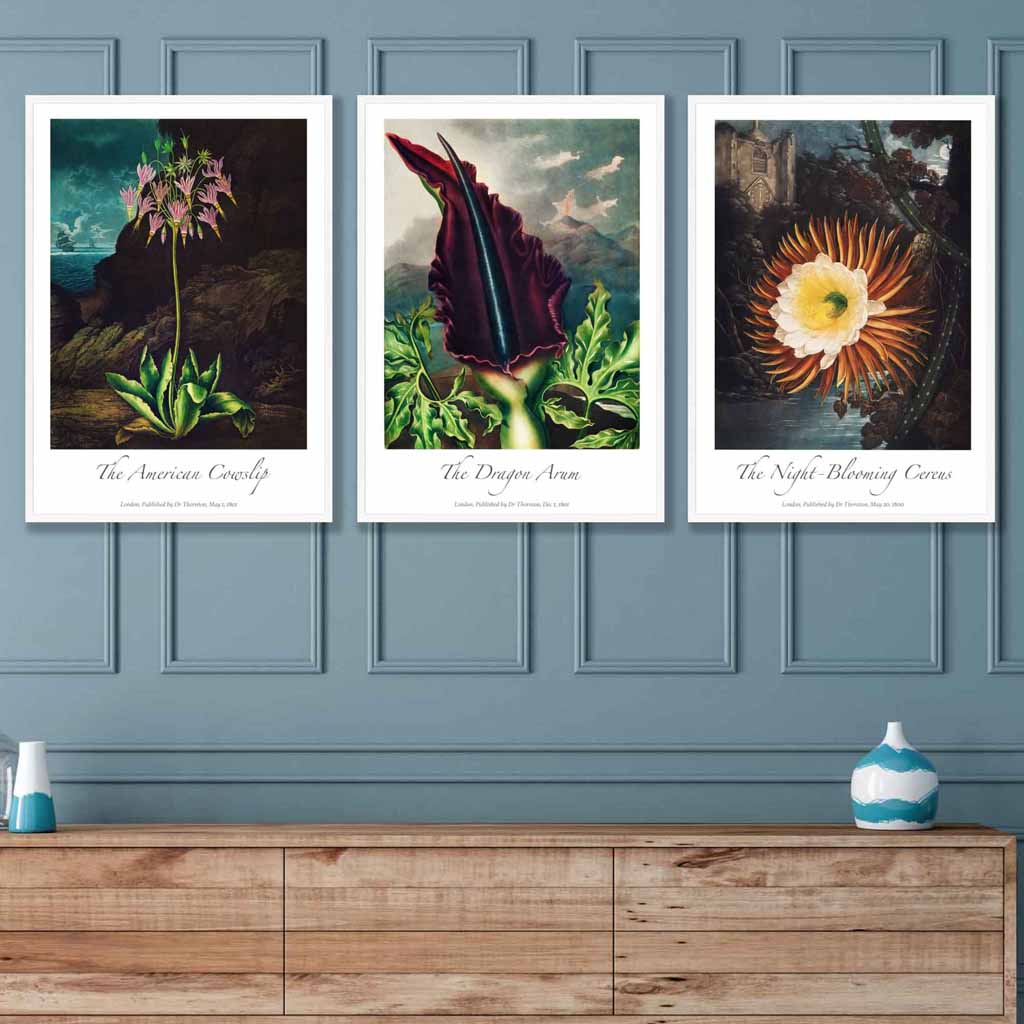 Vintage Exotic Flowers Botanical Set of 3 Wall Art Prints