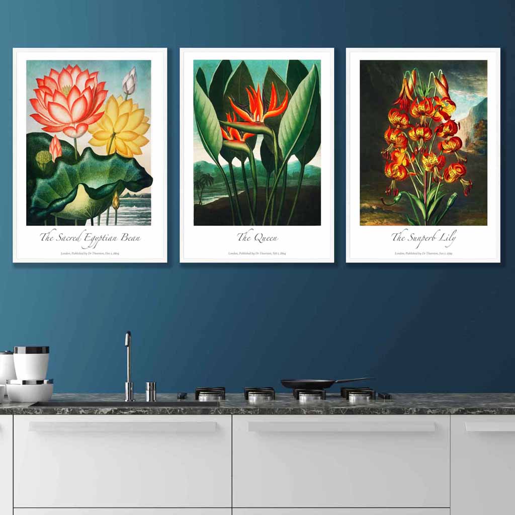 Vintage Tropical Flowers Botanical Set of 3 Wall Art Prints