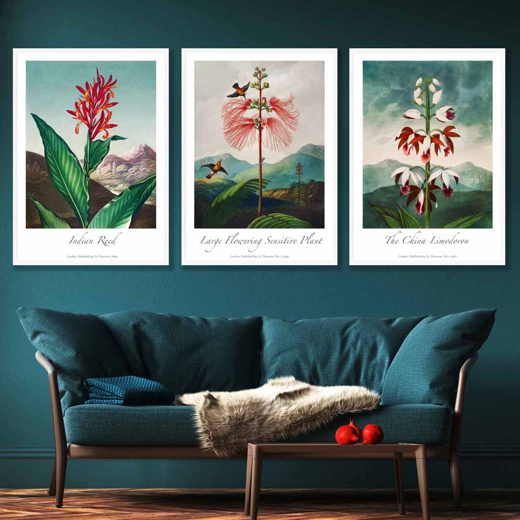 Vintage Exotic Eastern Floral Set of 3 Wall Art Prints