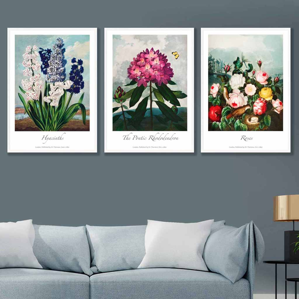 Vintage Cottage Garden Flowers Botanical Set of 3 Wall Art Prints