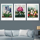 Vintage Cottage Garden Flowers Botanical Set of 3 Wall Art Prints