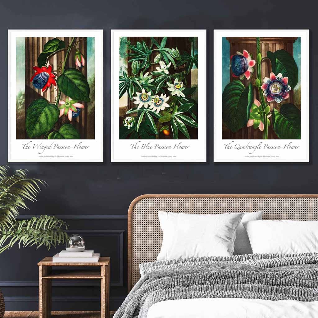 Vintage Passion Flowers Floral Set of 3 Wall Art Prints