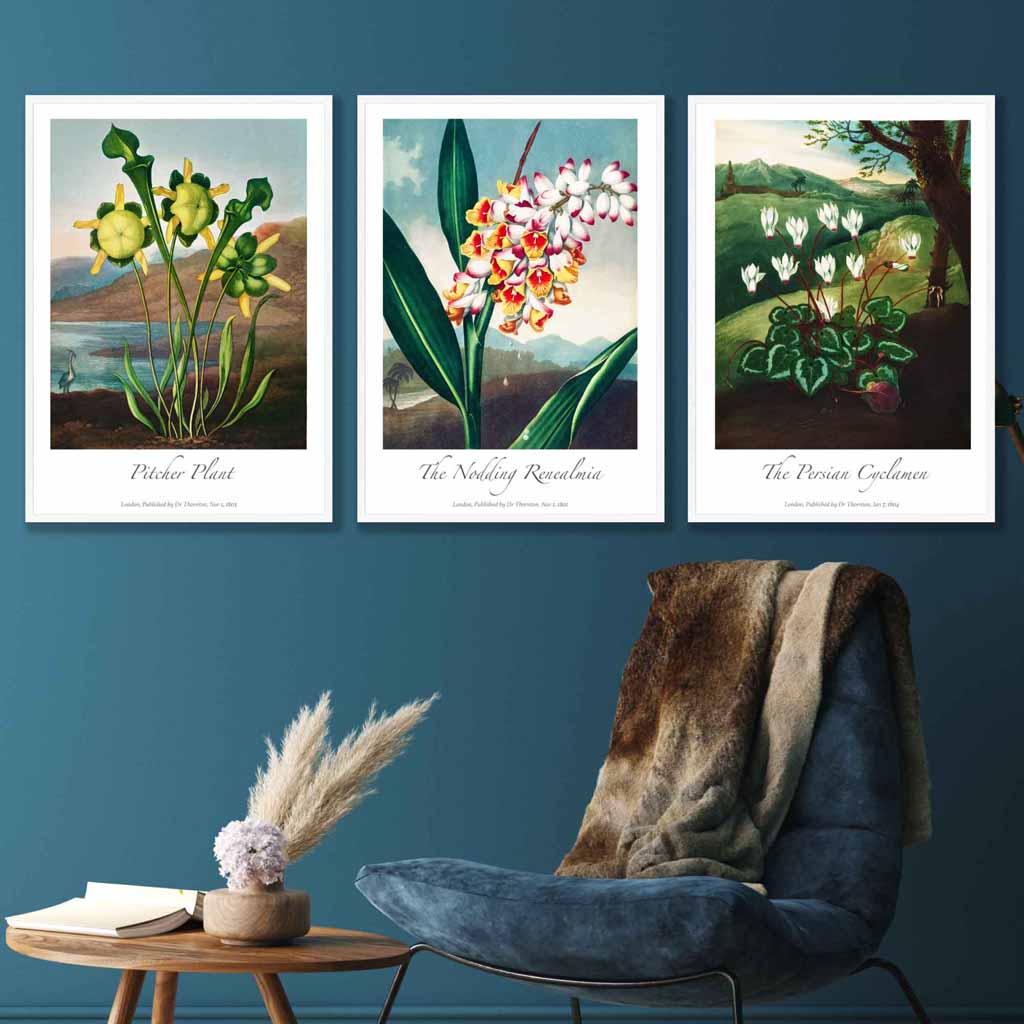 Vintage Botanical Medicinal Flowers Set of 3 Wall Art Prints
