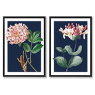 Vintage Pink Flowers on Dark Blue Set of 2 Art Prints with Black Frame