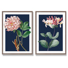 Vintage Pink Flowers on Dark Blue Set of 2 Art Prints with Walnut Frame