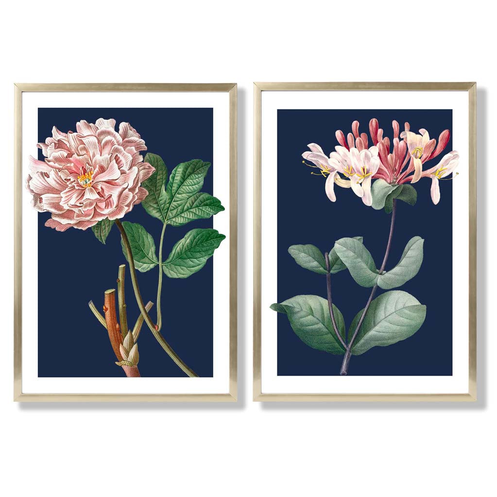 Vintage Pink Flowers on Dark Blue Set of 2 Art Prints with Gold Frame
