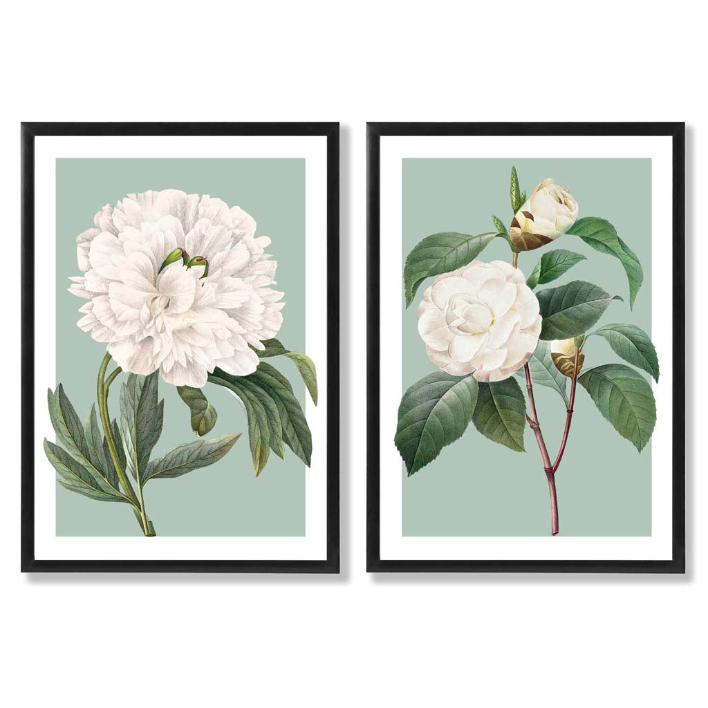 Vintage White Flowers on Sage Green Set of 2 Art Prints with Black Frame