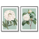 Vintage White Flowers on Sage Green Set of 2 Art Prints with Dark Grey Frame
