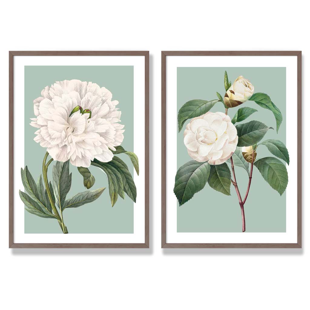 Vintage White Flowers on Sage Green Set of 2 Art Prints with Walnut Frame