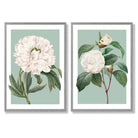Vintage White Flowers on Sage Green Set of 2 Art Prints with Light Grey Frame