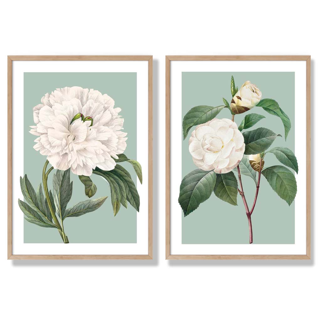 Vintage White Flowers on Sage Green Set of 2 Art Prints with Oak Frame