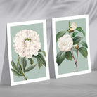 Vintage White Flowers on Sage Green Set of 2 Art Prints
