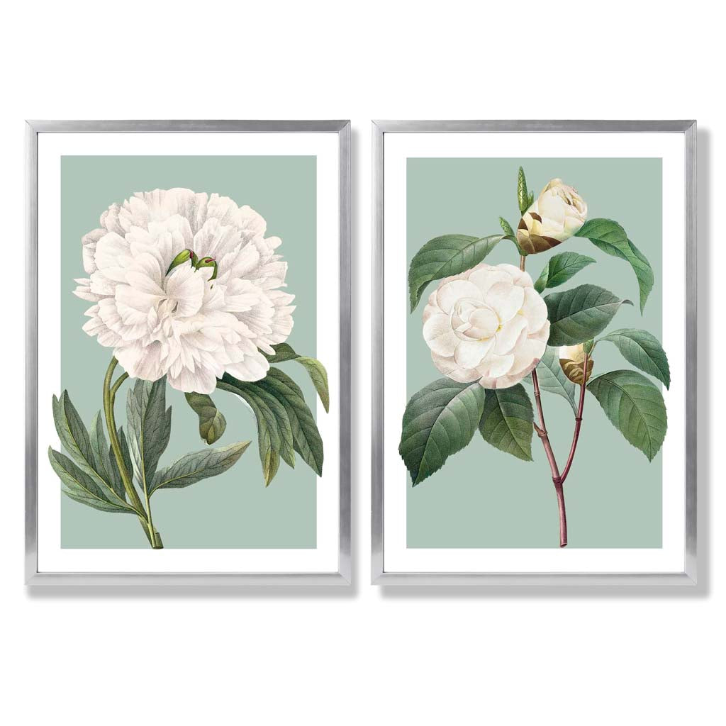 Vintage White Flowers on Sage Green Set of 2 Art Prints with Silver Frame