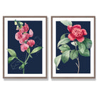 Vintage Pink Flowers on Navy Blue Set of 2 Art Prints with Walnut Frame