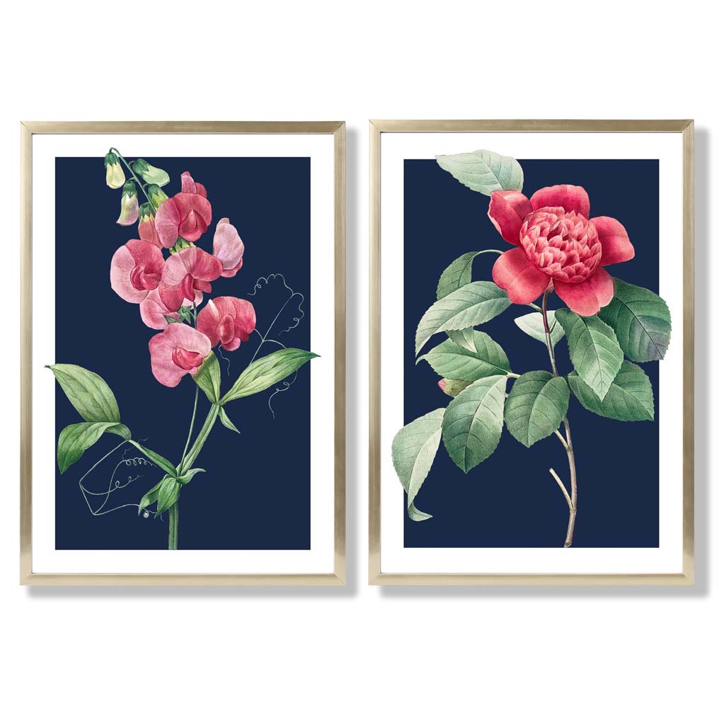 Vintage Pink Flowers on Navy Blue Set of 2 Art Prints with Gold Frame