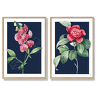 Vintage Pink Flowers on Navy Blue Set of 2 Art Prints with Oak Frame