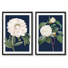 Vintage White Flowers on Navy Blue Set of 2 Art Prints with Black Frame