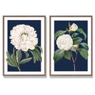 Vintage White Flowers on Navy Blue Set of 2 Art Prints with Walnut Frame