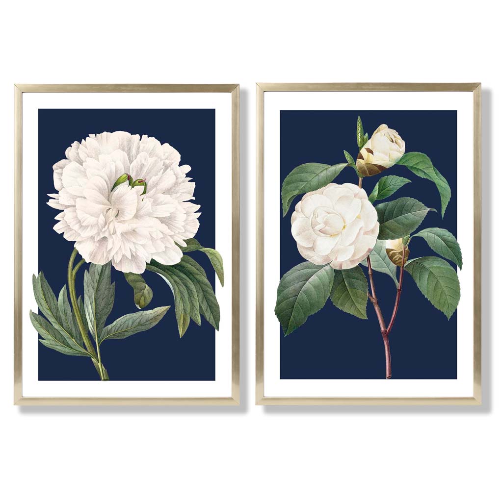 Vintage White Flowers on Navy Blue Set of 2 Art Prints with Gold Frame