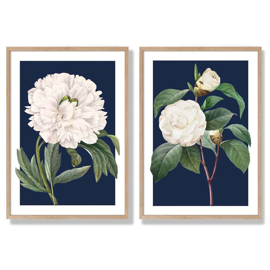 Vintage White Flowers on Navy Blue Set of 2 Art Prints with Oak Frame