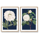 Vintage White Flowers on Navy Blue Set of 2 Art Prints with Oak Frame