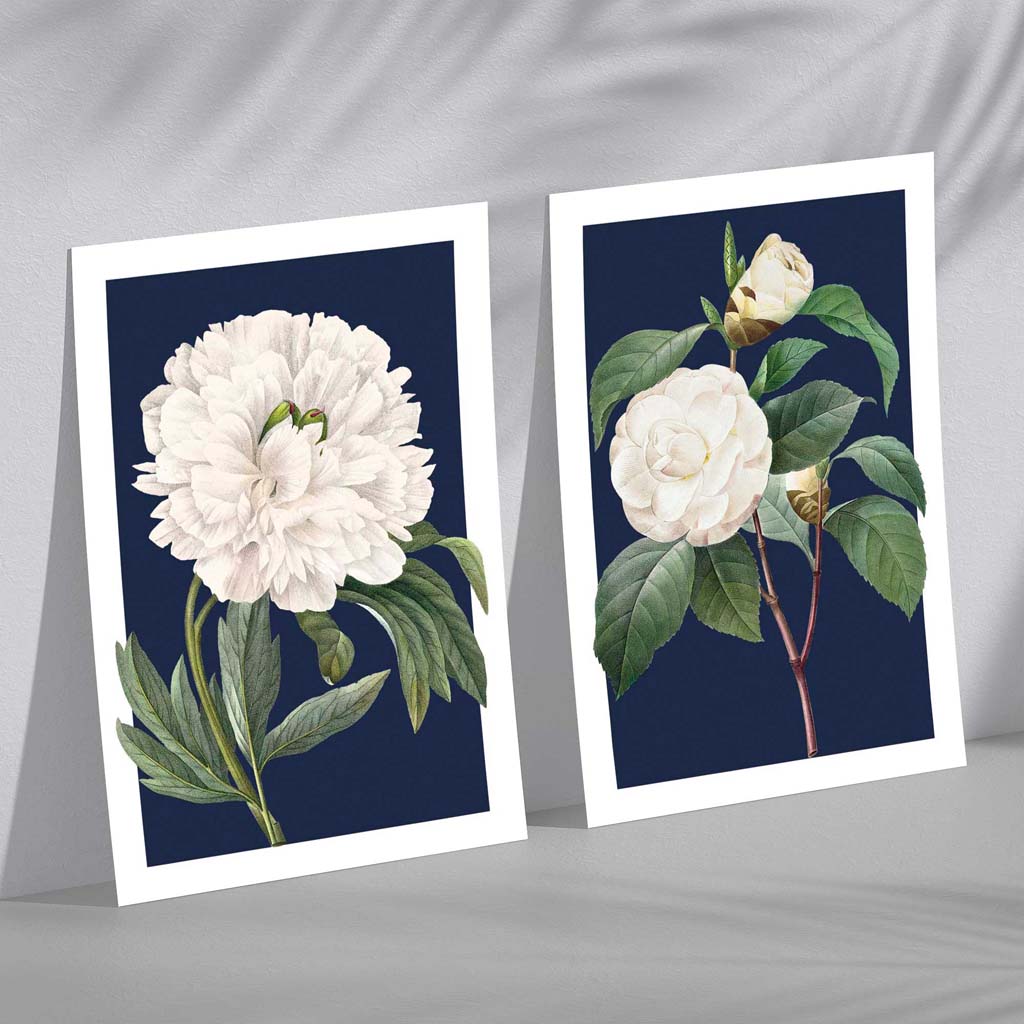 Vintage White Flowers on Navy Blue Set of 2 Art Prints